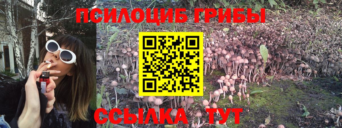 Галлюциногенные грибы Cubensis  Вход с VPN  Псилоцибиновые грибы мухоморы  Балашиха 